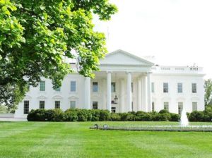 10153301_555996111181478_6606488290510156472_n